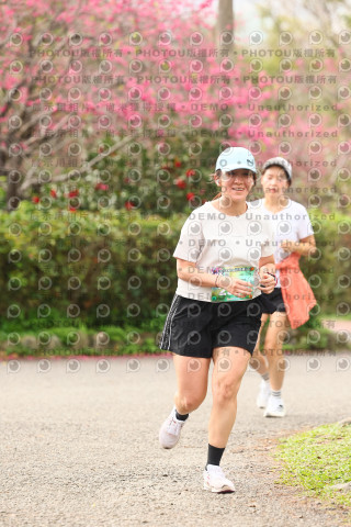 2026左岸竹東櫻花馬拉松Zhudong Sakura Marathon