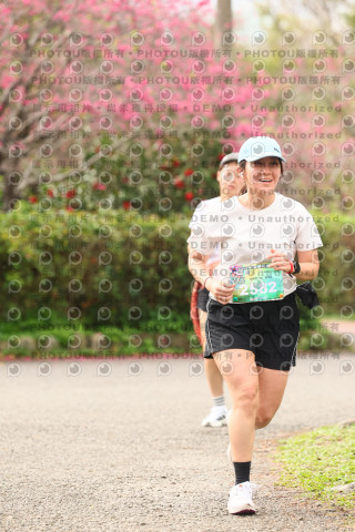 2026左岸竹東櫻花馬拉松Zhudong Sakura Marathon