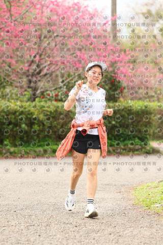 2026左岸竹東櫻花馬拉松Zhudong Sakura Marathon