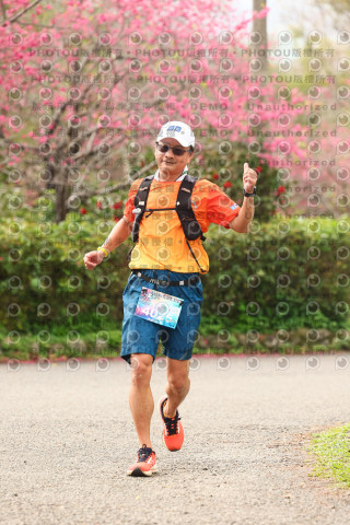 2026左岸竹東櫻花馬拉松Zhudong Sakura Marathon