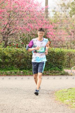 2026左岸竹東櫻花馬拉松Zhudong Sakura Marathon