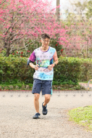 2026左岸竹東櫻花馬拉松Zhudong Sakura Marathon