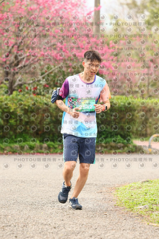 2026左岸竹東櫻花馬拉松Zhudong Sakura Marathon