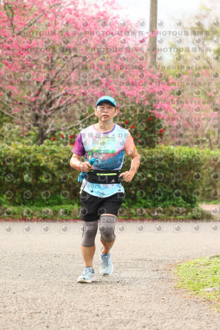 2026左岸竹東櫻花馬拉松Zhudong Sakura Marathon