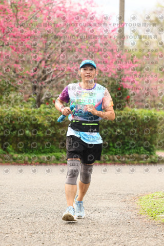 2026左岸竹東櫻花馬拉松Zhudong Sakura Marathon