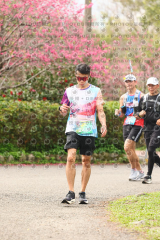 2026左岸竹東櫻花馬拉松Zhudong Sakura Marathon