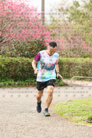 2026左岸竹東櫻花馬拉松Zhudong Sakura Marathon