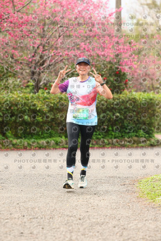 2026左岸竹東櫻花馬拉松Zhudong Sakura Marathon