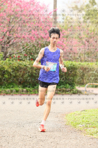 2026左岸竹東櫻花馬拉松Zhudong Sakura Marathon