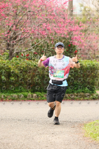 2026左岸竹東櫻花馬拉松Zhudong Sakura Marathon