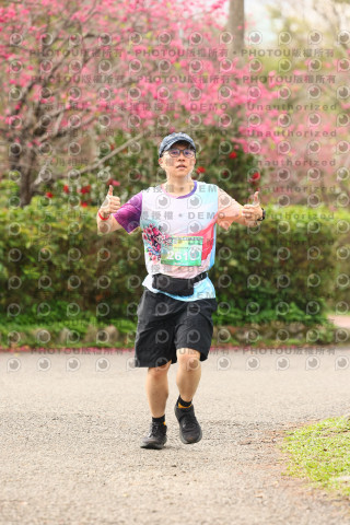 2026左岸竹東櫻花馬拉松Zhudong Sakura Marathon