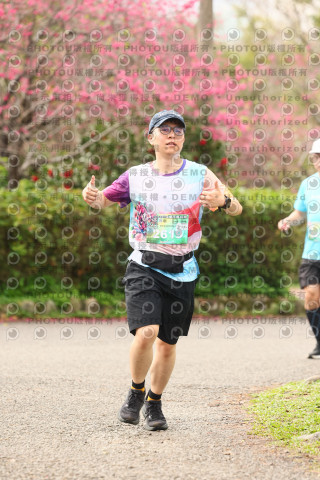 2026左岸竹東櫻花馬拉松Zhudong Sakura Marathon