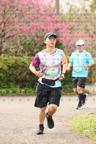 2026左岸竹東櫻花馬拉松Zhudong Sakura Marathon