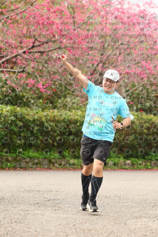 2026左岸竹東櫻花馬拉松Zhudong Sakura Marathon