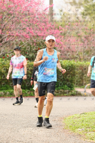 2026左岸竹東櫻花馬拉松Zhudong Sakura Marathon