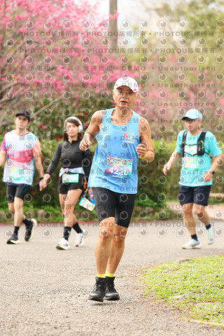 2026左岸竹東櫻花馬拉松Zhudong Sakura Marathon