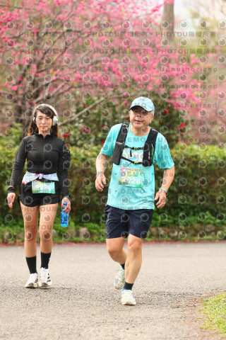 2026左岸竹東櫻花馬拉松Zhudong Sakura Marathon