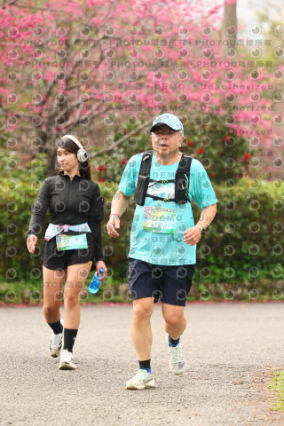 2026左岸竹東櫻花馬拉松Zhudong Sakura Marathon