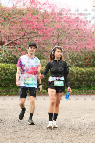 2026左岸竹東櫻花馬拉松Zhudong Sakura Marathon