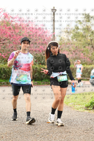 2026左岸竹東櫻花馬拉松Zhudong Sakura Marathon