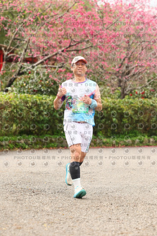 2026左岸竹東櫻花馬拉松Zhudong Sakura Marathon