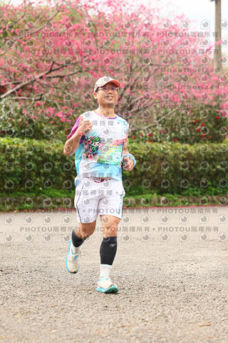 2026左岸竹東櫻花馬拉松Zhudong Sakura Marathon