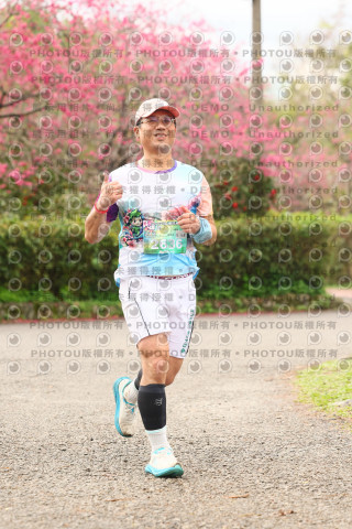 2026左岸竹東櫻花馬拉松Zhudong Sakura Marathon