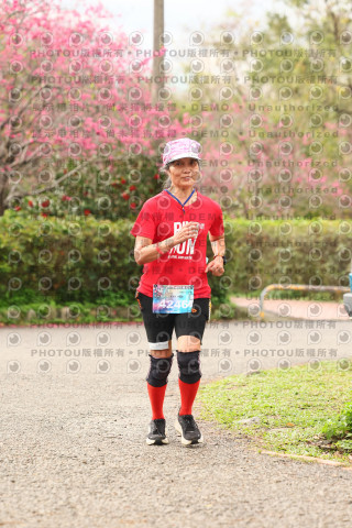 2026左岸竹東櫻花馬拉松Zhudong Sakura Marathon