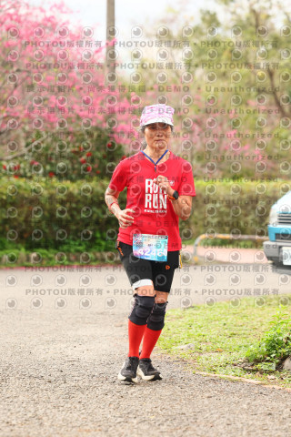 2026左岸竹東櫻花馬拉松Zhudong Sakura Marathon