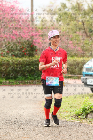 2026左岸竹東櫻花馬拉松Zhudong Sakura Marathon