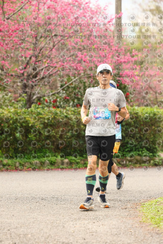 2026左岸竹東櫻花馬拉松Zhudong Sakura Marathon