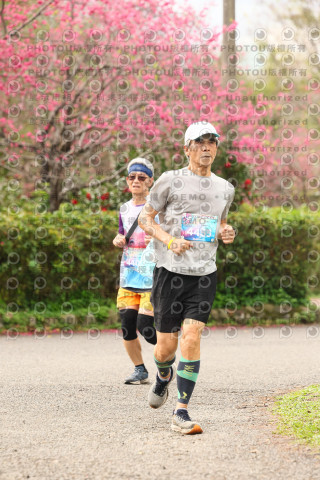 2026左岸竹東櫻花馬拉松Zhudong Sakura Marathon