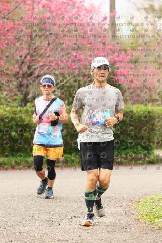 2026左岸竹東櫻花馬拉松Zhudong Sakura Marathon