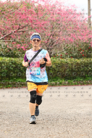 2026左岸竹東櫻花馬拉松Zhudong Sakura Marathon