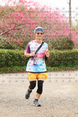 2026左岸竹東櫻花馬拉松Zhudong Sakura Marathon