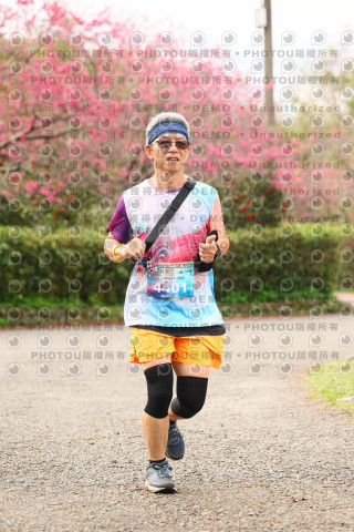 2026左岸竹東櫻花馬拉松Zhudong Sakura Marathon