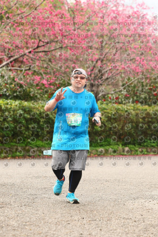 2026左岸竹東櫻花馬拉松Zhudong Sakura Marathon