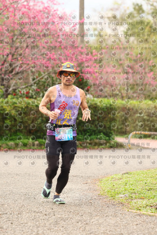 2026左岸竹東櫻花馬拉松Zhudong Sakura Marathon