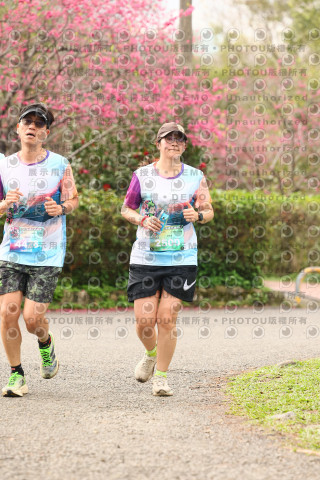 2026左岸竹東櫻花馬拉松Zhudong Sakura Marathon