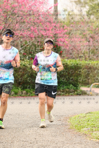 2026左岸竹東櫻花馬拉松Zhudong Sakura Marathon