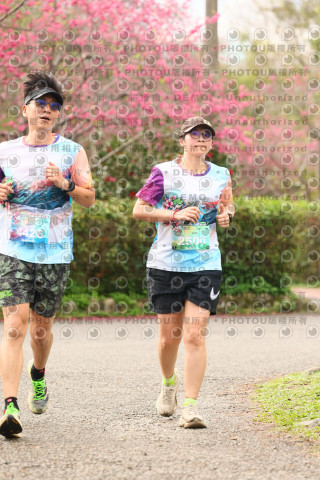 2026左岸竹東櫻花馬拉松Zhudong Sakura Marathon