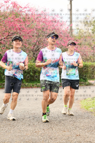 2026左岸竹東櫻花馬拉松Zhudong Sakura Marathon