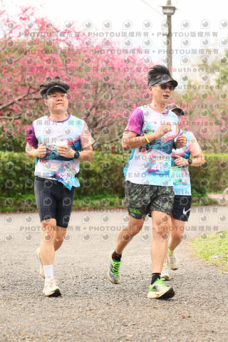 2026左岸竹東櫻花馬拉松Zhudong Sakura Marathon