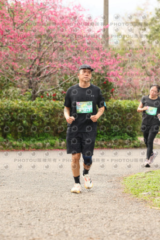 2026左岸竹東櫻花馬拉松Zhudong Sakura Marathon