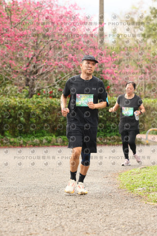 2026左岸竹東櫻花馬拉松Zhudong Sakura Marathon