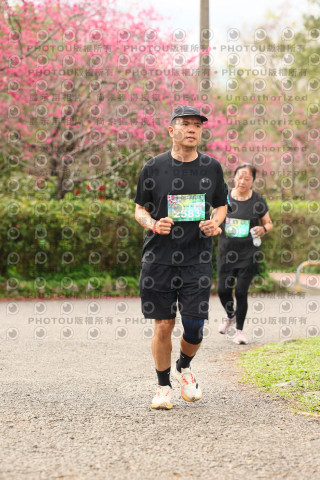 2026左岸竹東櫻花馬拉松Zhudong Sakura Marathon