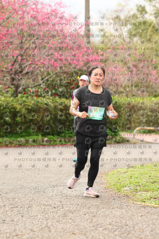 2026左岸竹東櫻花馬拉松Zhudong Sakura Marathon