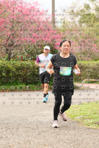 2026左岸竹東櫻花馬拉松Zhudong Sakura Marathon