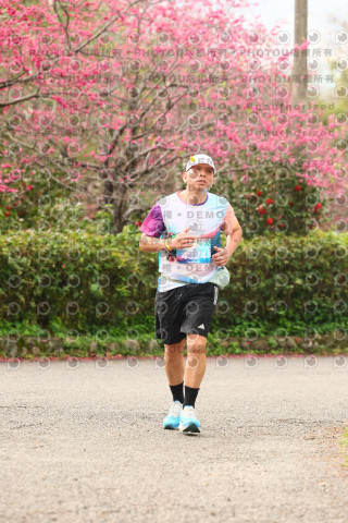 2026左岸竹東櫻花馬拉松Zhudong Sakura Marathon