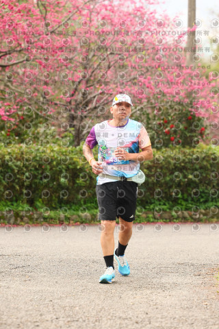 2026左岸竹東櫻花馬拉松Zhudong Sakura Marathon
